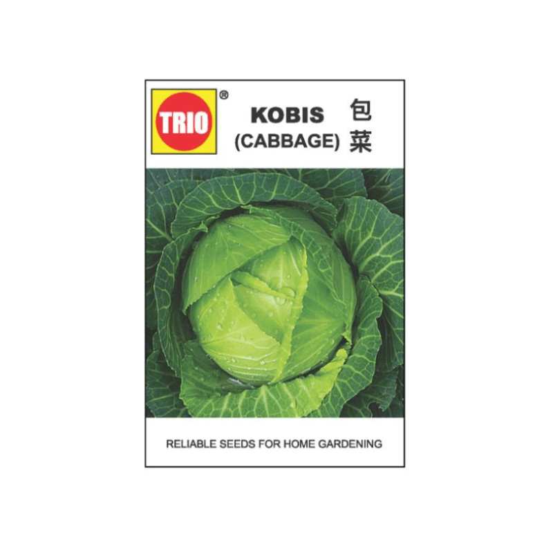 Trio Java Seed TRIO ANGLE BEAN VEGETABLE SEED - Kelokal.com